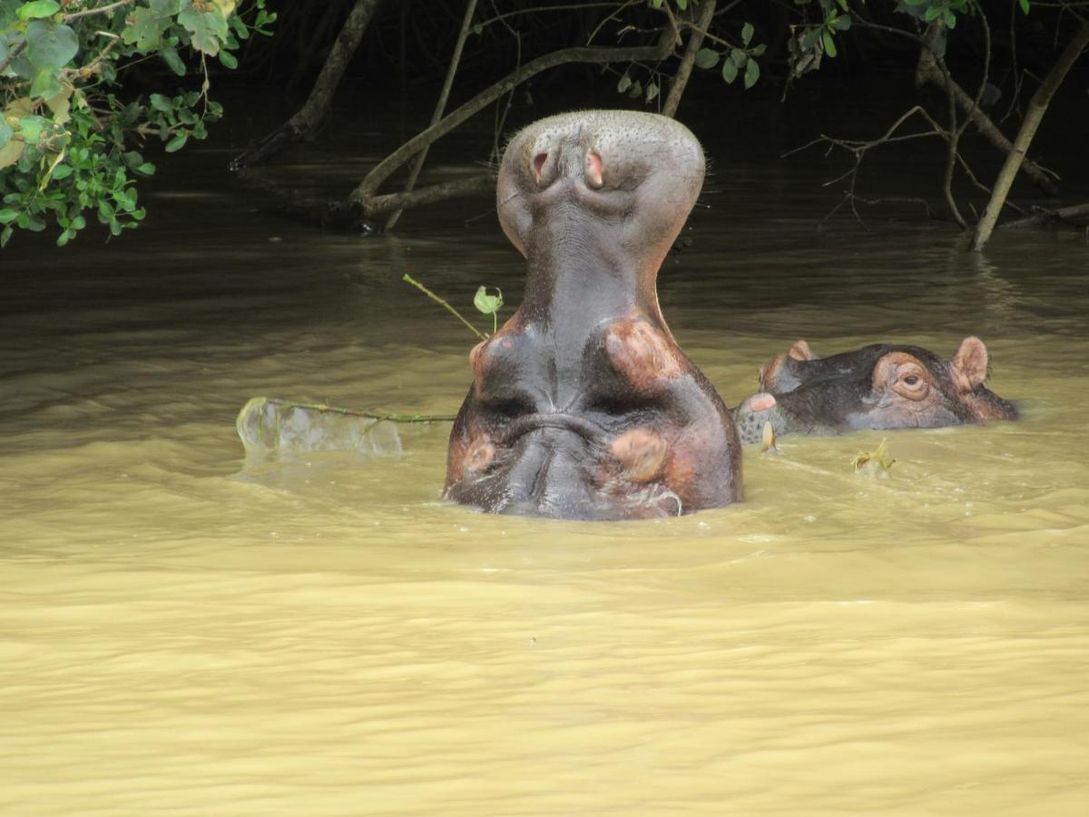 Uitspan Leilighet Saint Lucia Estuary Eksteriør bilde